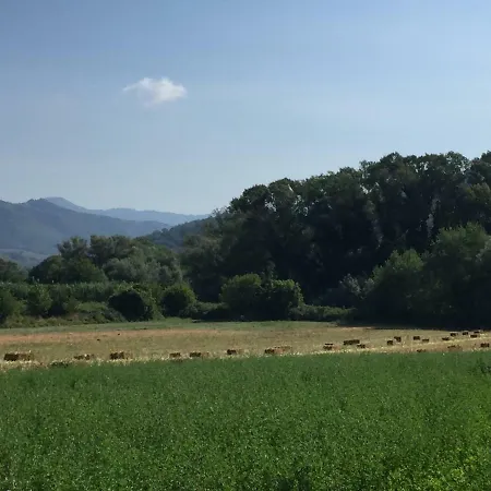 La Nonnina Del Cilento