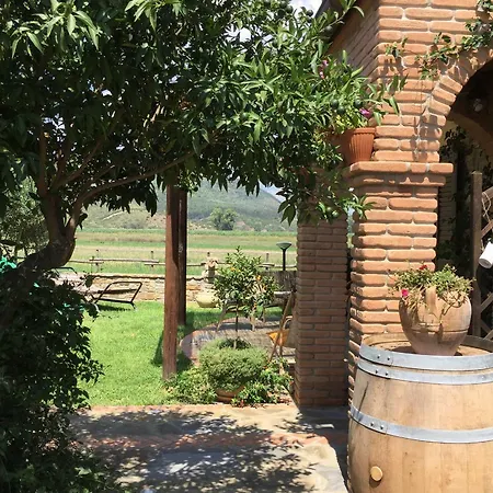La Nonnina Del Cilento