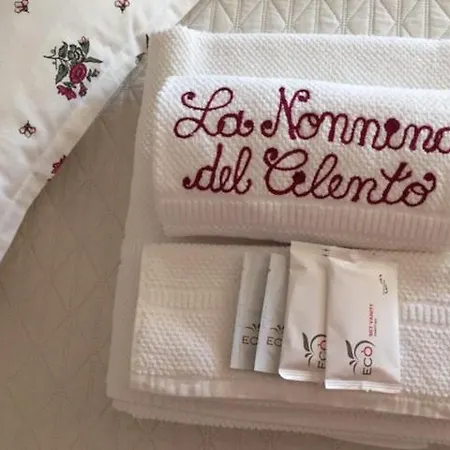 La Nonnina Del Cilento 4*